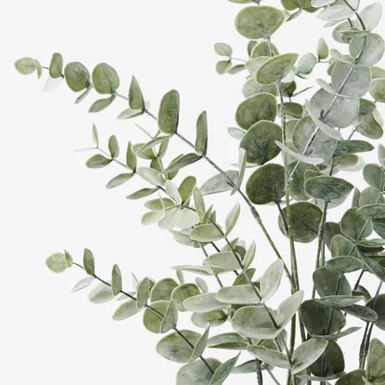 Eucalyptus Bush in Pot Green Grey 53cm - Pack of 6