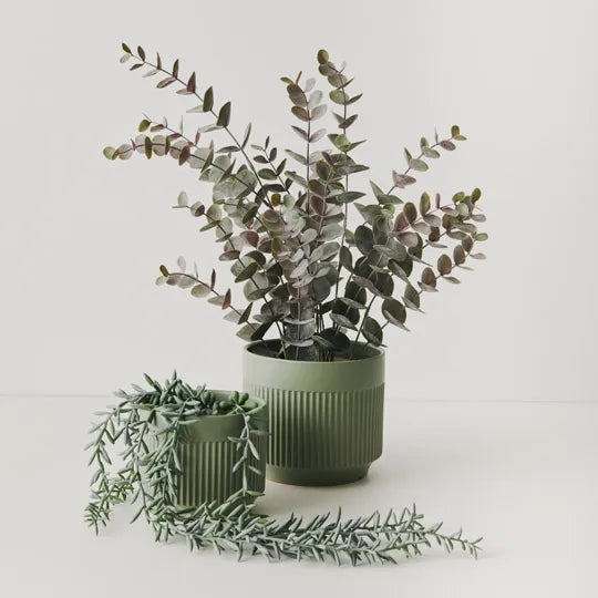 Eucalyptus Bush in Pot Grey 53cm - Pack of 6
