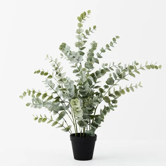 Eucalyptus Bush in Pot Green Grey 68cm - Pack of 4