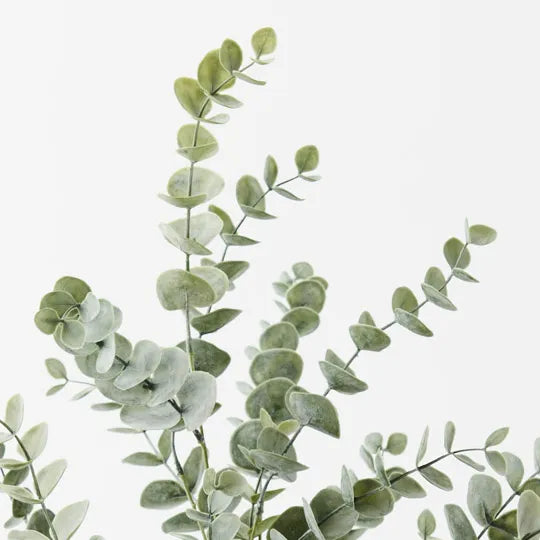 Eucalyptus Bush in Pot Green Grey 68cm - Pack of 4