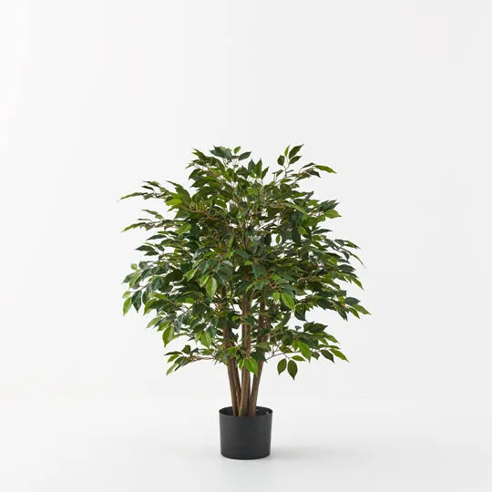 Ficus Tree Green 90cm - Pack of 2