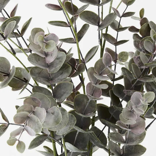 Eucalyptus Bush in Pot Grey 68cm - Pack of 4