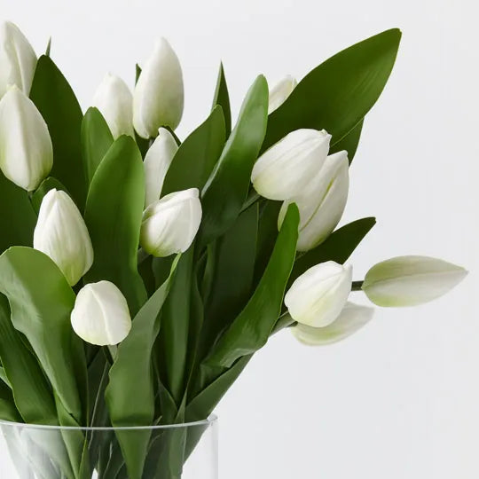 Tulip Mix in Vase White 45cm