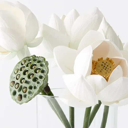 Lotus Mix in Vase White 32cm