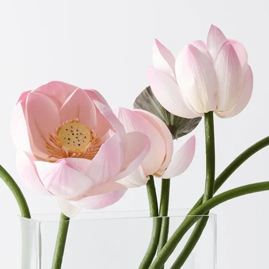 Lotus Mix in Vase Pink Assorted 51cm