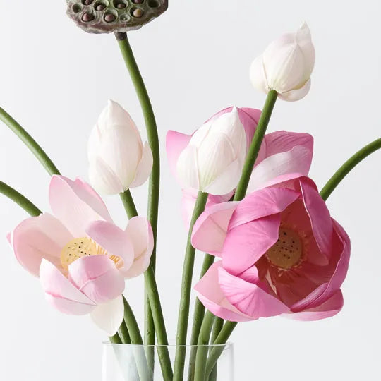 Lotus Mix in Vase Pink Assorted 66cm