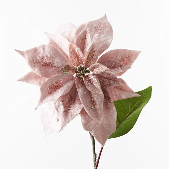 Poinsettia Velvet Light Pink 71cm - Pack of 12