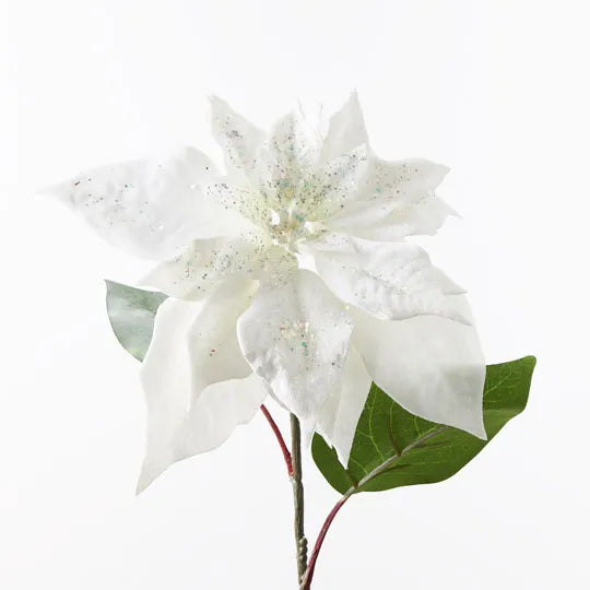 Poinsettia Velvet White 71cm - Pack of 12