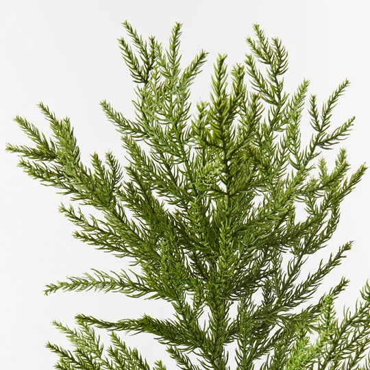 Pine Cypress Spray Green 104cm - Pack of 12