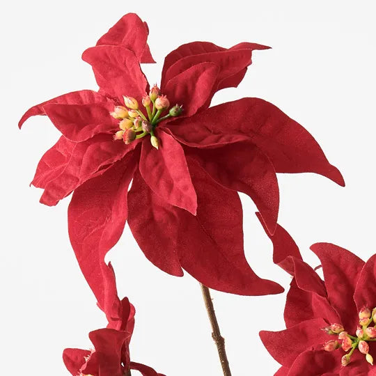 Poinsettia Velvet Spray Red 67cm - Pack of 12