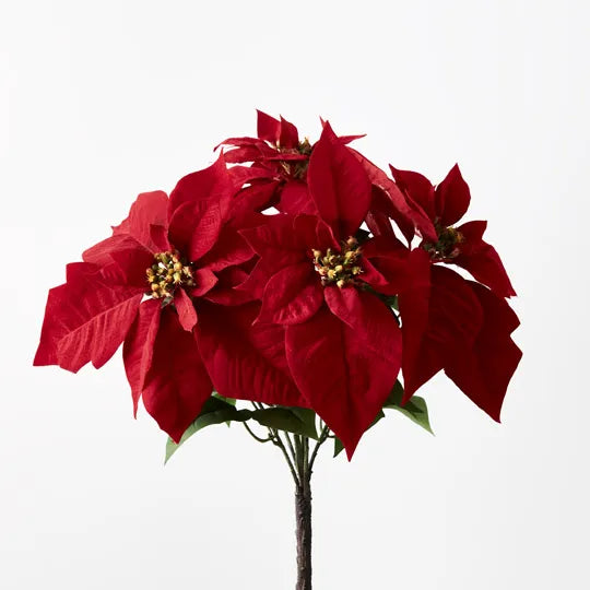 Poinsettia Bush x5 Red 41cm - Pack of 12