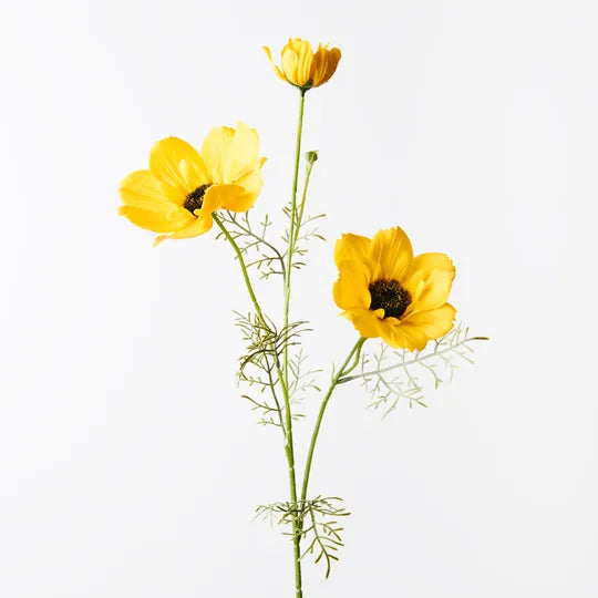 Coreopsis Spray Yellow 76cm -  Pack of 12
