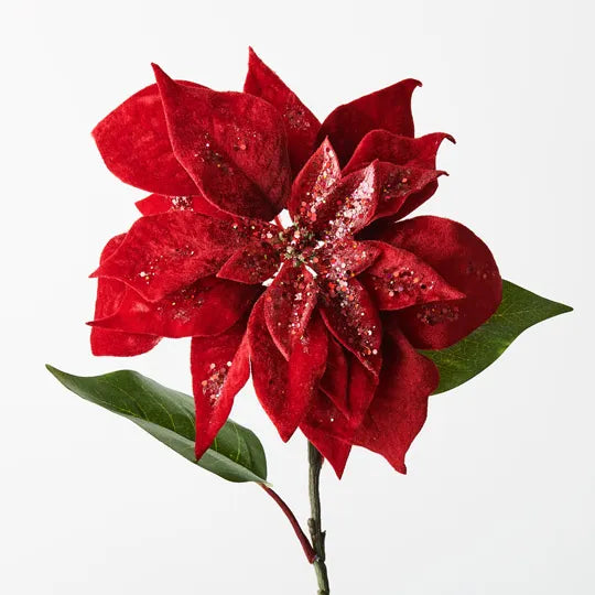 Poinsettia Velvet Red 71cm - Pack of 12