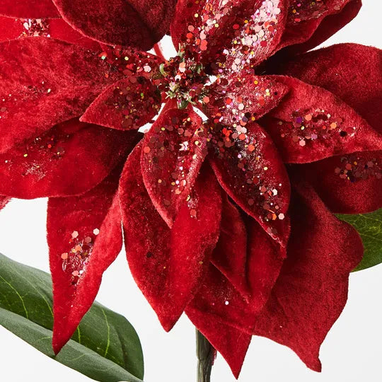 Poinsettia Velvet Red 71cm - Pack of 12