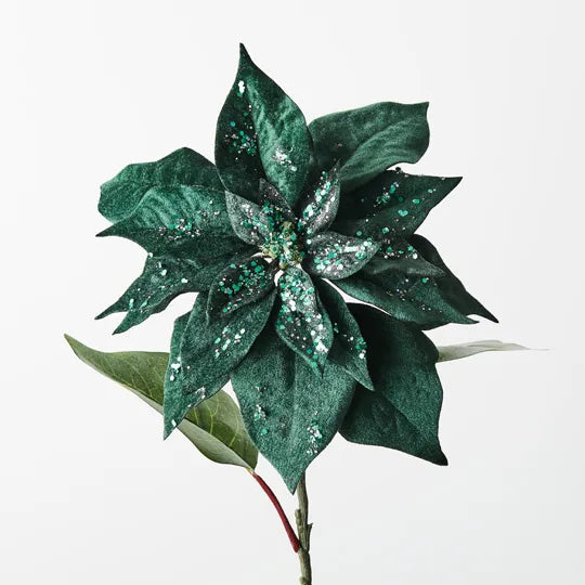 Poinsettia Velvet Emerald 71cm - Pack of 12