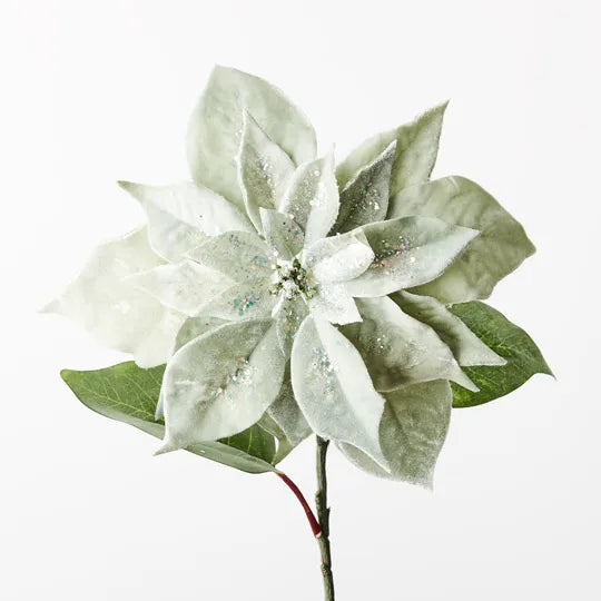 Poinsettia Velvet Sage 71cm - Pack of 12