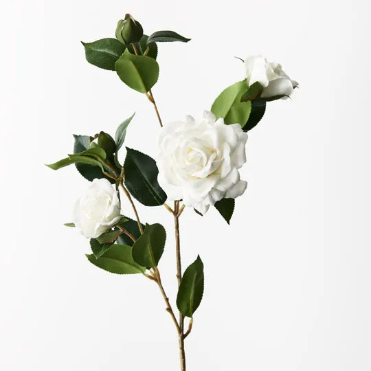 Camellia Spray White 73cm - Pack of 12