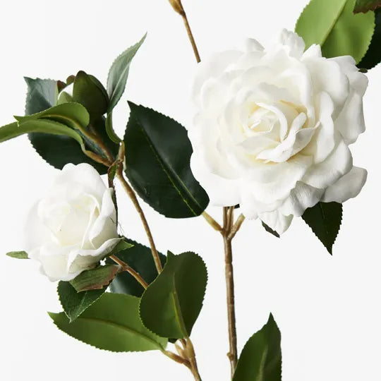 Camellia Spray White 73cm - Pack of 12