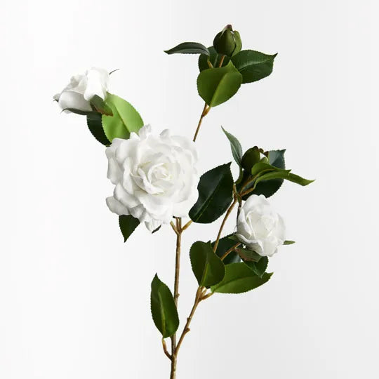 Camellia Spray Winter White 73cm - Pack of 12