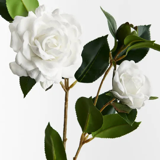 Camellia Spray Winter White 73cm - Pack of 12