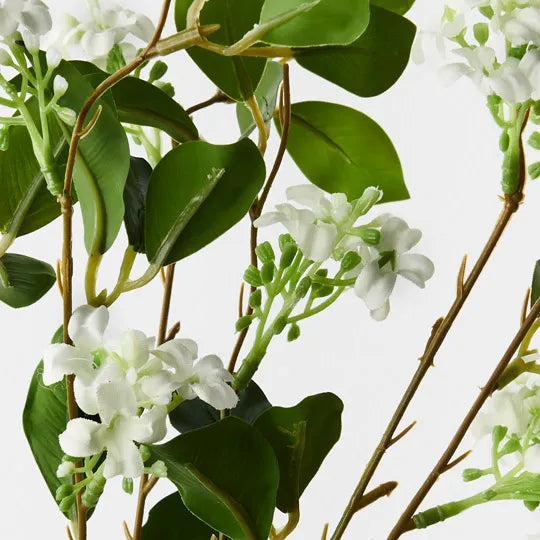 Jasmine Bouquet White 65cm - Pack of 12