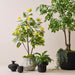 Pot Payton White Tan 25cm x 31cm Pack of 2