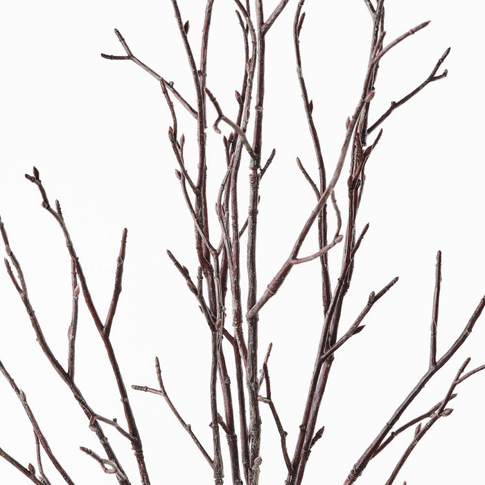 Twig Bundle Brown 73cm Pack of 12