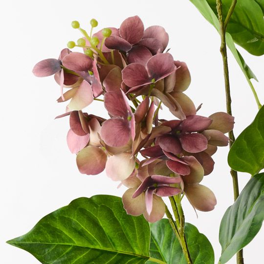 Hydrangea Spray Eggplant 74cm Pack of 12