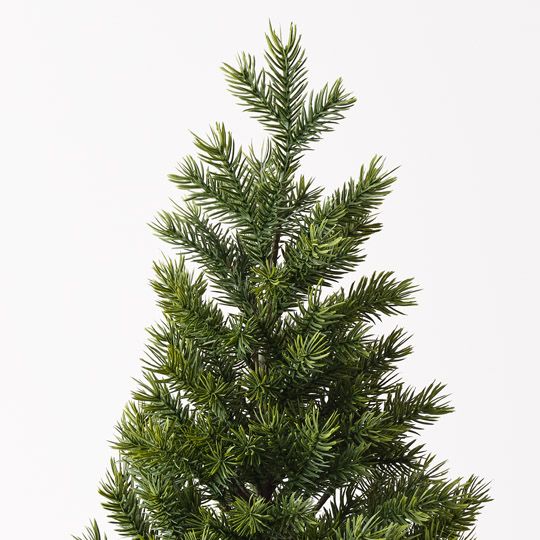 Tree Noble Fir in pot Green 66cm Pack of 4