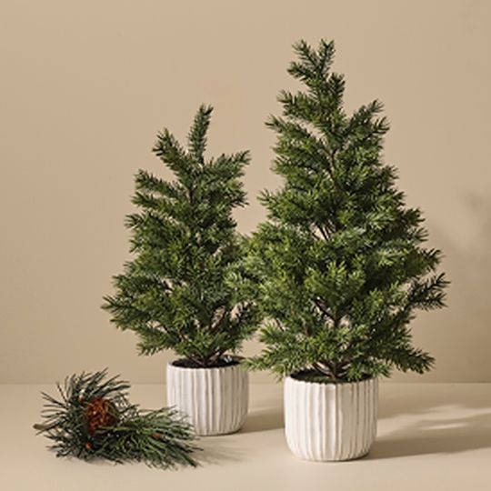 Tree Noble Fir in pot Green 66cm Pack of 4