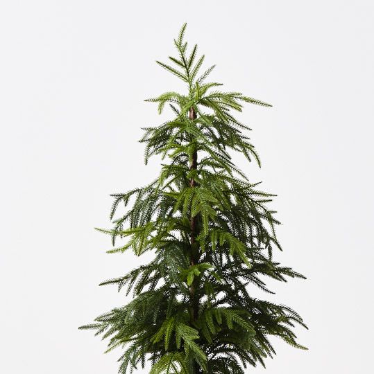 Tree Norfolk Pine in pot Green 91cm Pack of 2