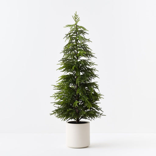 Artificial Norfolk Pine Tree in Pot 152cm Green - Pack of 2 - FLORA DESIGNS