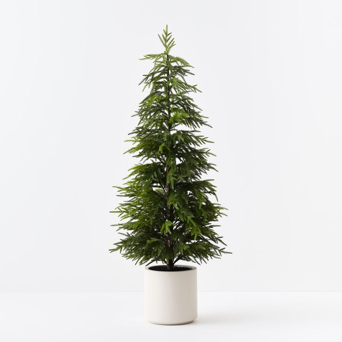 Artificial Norfolk Pine Tree in Pot 152cm Green - Pack of 2 - FLORA DESIGNS