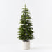 Artificial Norfolk Pine Tree in Pot 152cm Green - Pack of 2 - FLORA DESIGNS