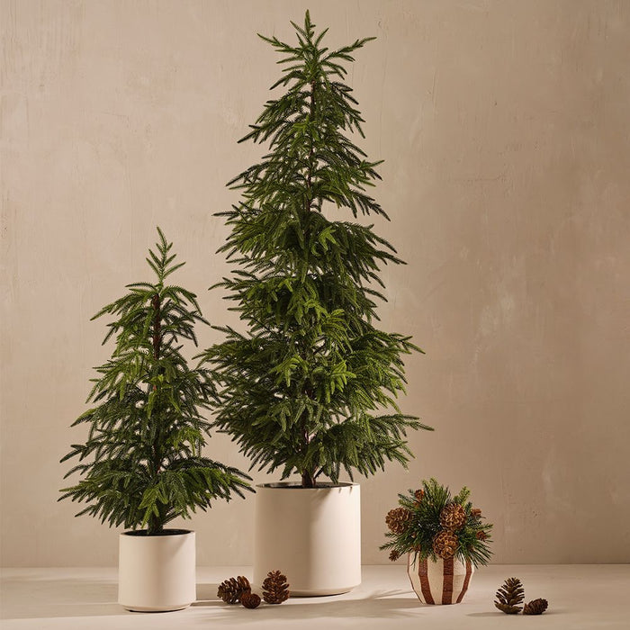 Artificial Norfolk Pine Tree in Pot 152cm Green - Pack of 2 - FLORA DESIGNS