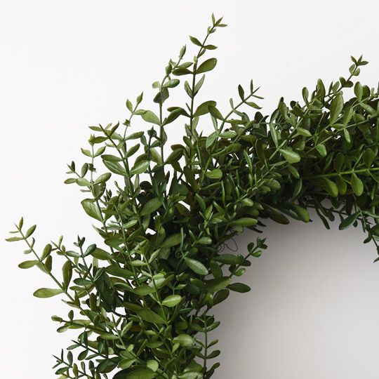 Wreath Boxwood Green 66cm Pack of 2