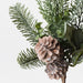 Pine Cone Mix Pick Grey Green 36cm Pack of 12