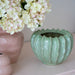 Zasha Pot Pickle 19cm x 25cm Pack of 2