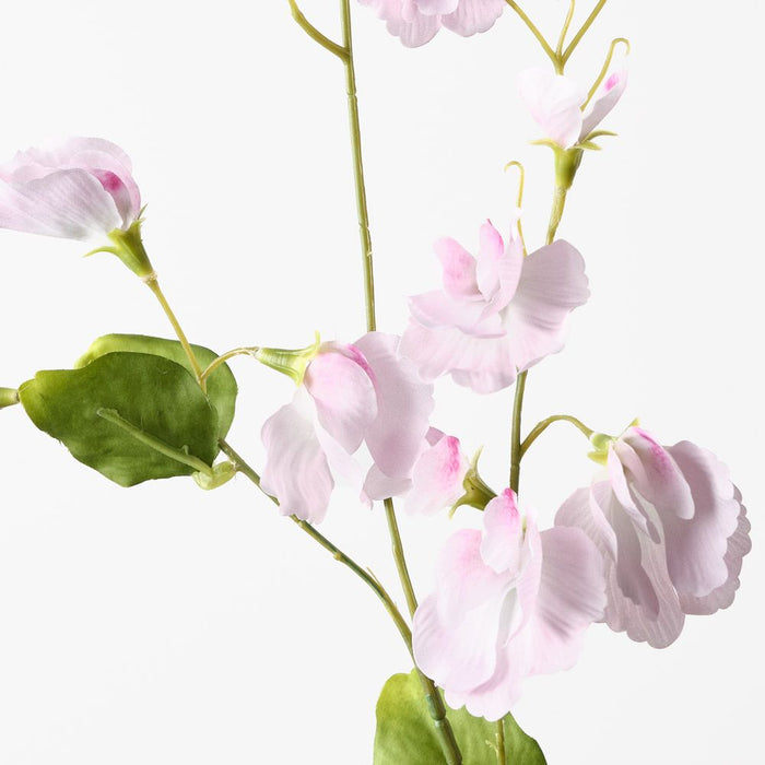 Sweet Pea Spray Light Pink 72cm Pack of 12