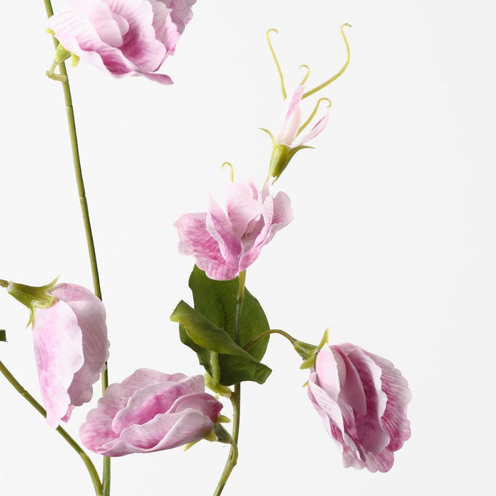 Sweet Pea Spray Mauve 72cm Pack of 12