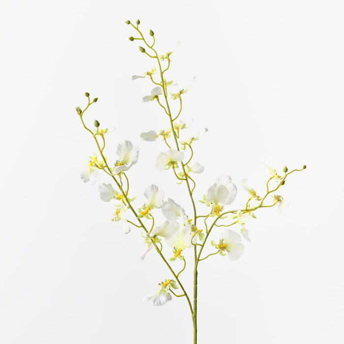 Orchid Dancing White Green 98cm Pack of 12