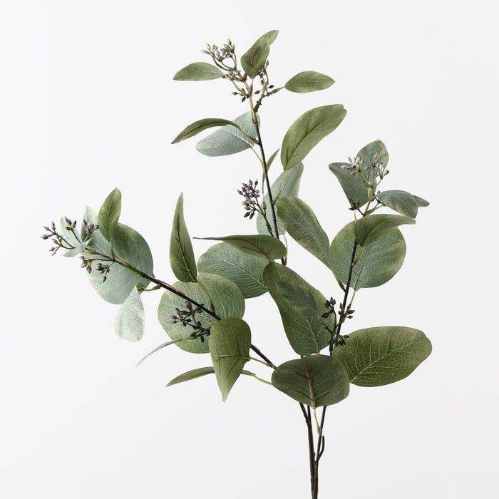 Eucalyptus Seed Spray Grey Green 83cm