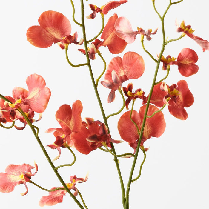 Orchid Dancing Burnt Orange 98cm Pack of 12