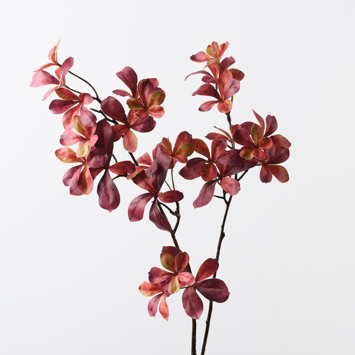 Schefflera Mini Leaf Spray Burgundy 86cm Pack of 12