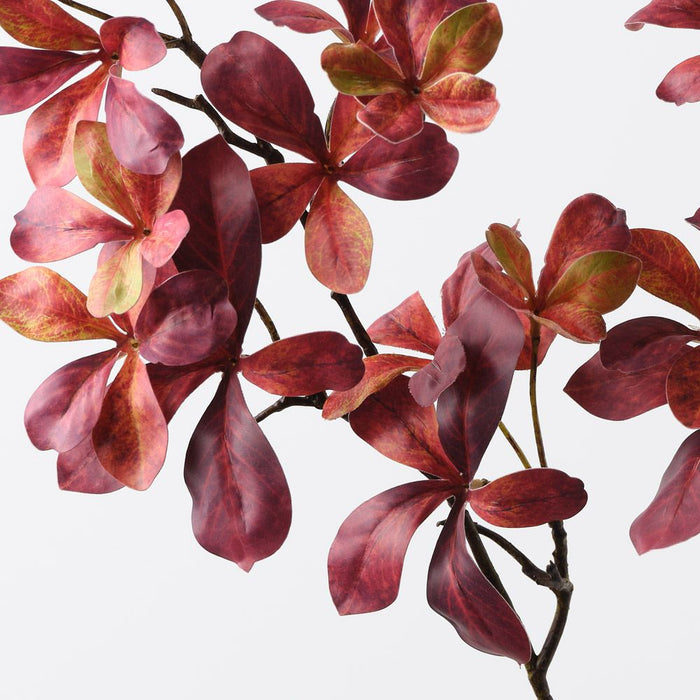 Schefflera Mini Leaf Spray Burgundy 86cm Pack of 12