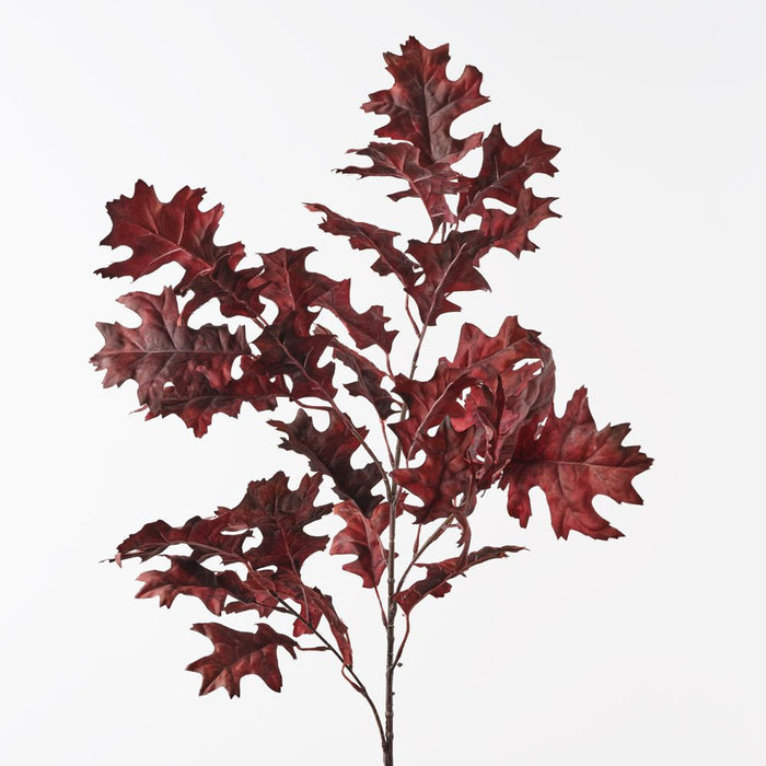 Oak Leaf Spray Burgundy 99cm Pack of 12