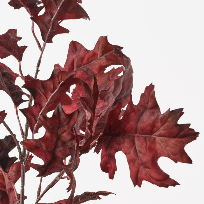 Oak Leaf Spray Burgundy 99cm Pack of 12