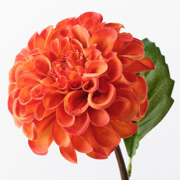 Dahlia Pompon Burnt Orange 58cm Pack of 12