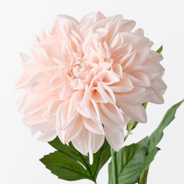 Dahlia Pompon Soft Pink 72cm Pack of 12