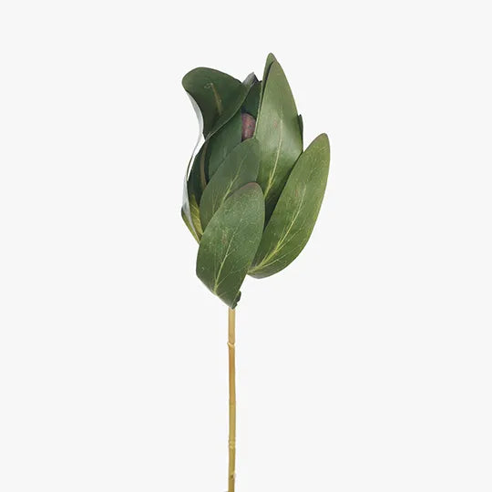 Protea Leaf Green 66cm - Pack of 12